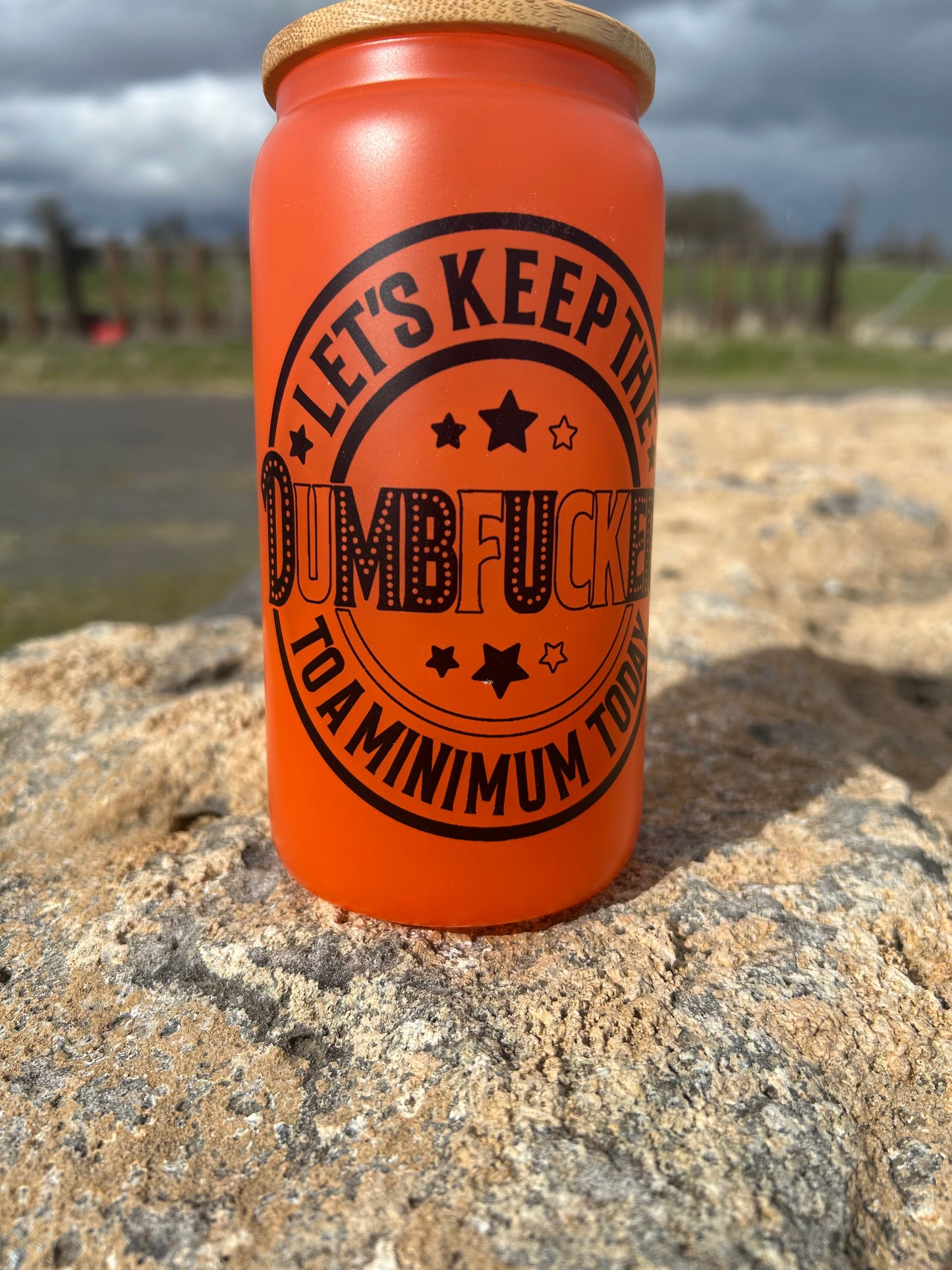 16OZ Dumbfuckery Glass Tumbler